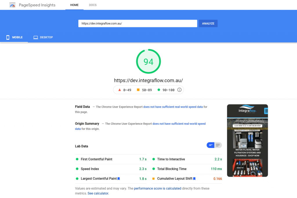 Google Page Speed Insight Report After Web Design and Hosting litespeed